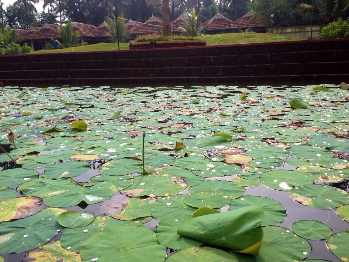 Deepanjali Wellness & Retreat Hotel Thanniyam ภายนอก รูปภาพ